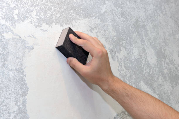 Best Real Estate Mold Inspection  in St Peter, WI