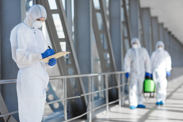 Mold Odor Removal Services in St Peter, WI