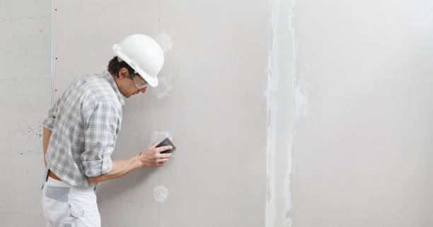 Reliable St Peter, WI Mold Removal Solutions
