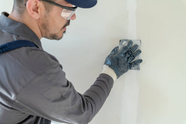  St Peter, WI Mold Removal Pros