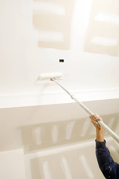 Best Biohazard Mold Removal  in St Peter, WI