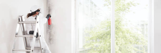 Best Forensic Mold Investigation  in St Peter, WI