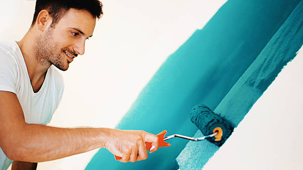 Best Mold Remediation for Healthcare Facilities  in St Peter, WI